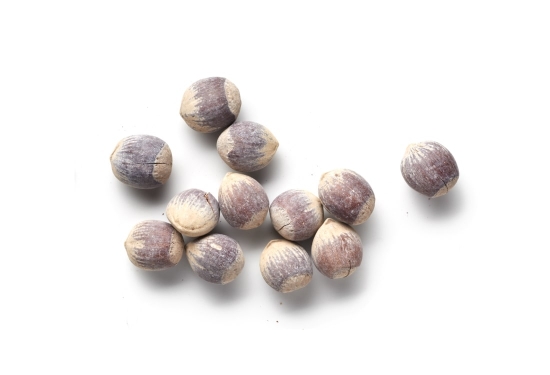 Avellana tostada con cáscara