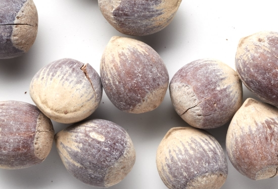 Avellana tostada con cáscara 2