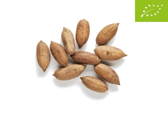 Nuez pecana ecológica con cáscara