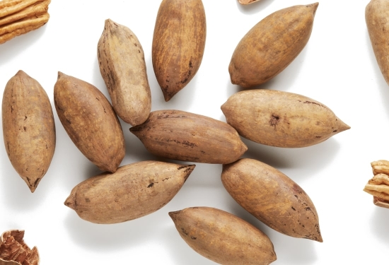 Nuez pecana ecológica con cáscara 2