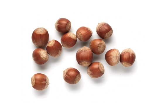 Avellana cruda con cáscara