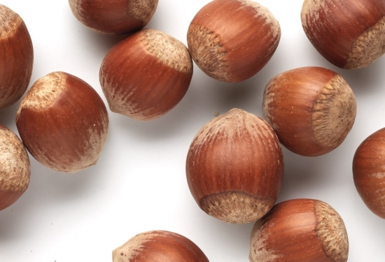 Avellana cruda con cáscara 2